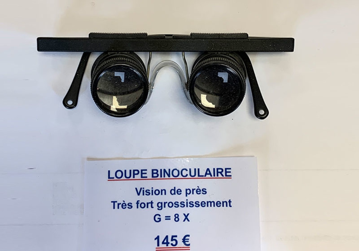 grossissement loupe binoculaire